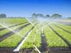 Al via la settimana nazionale della bonifica e dell’irrigazione: ecco tutte le iniziative di Est Sesia