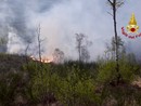 Rischio incendi boschivi, dalla Regione quasi 5 milioni per la prevenzione Rischio incendi boschivi, dalla Regione quasi 5 milioni per la prevenzione