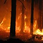Il Piemonte da due mesi combatte contro gli incendi boschivi