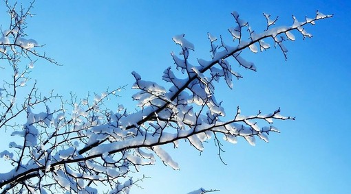 Inverno “caldo” in arrivo: dicembre e gennaio tra piogge e temperature sopra la media Inverno “caldo” in arrivo: dicembre e gennaio tra piogge e temperature sopra la media