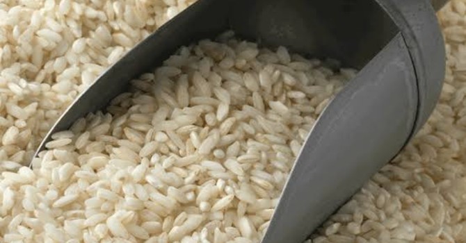 Riso, Coldiretti Piemonte: "Prezzi in crollo per l'aumento delle importazioni" Riso, Coldiretti Piemonte: "Prezzi in crollo per l'aumento delle importazioni"