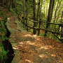 Giornate Fai d’Autunno, a Galliate un viaggio tra acqua, storia e natura nel Parco del Ticino Giornate Fai d’Autunno, a Galliate un viaggio tra acqua, storia e natura nel Parco del Ticino