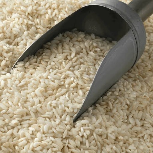 Riso, Coldiretti Piemonte: "Prezzi in crollo per l'aumento delle importazioni"