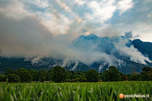Incendi, l'appello dei forestali: "Serve una gestione attiva dei boschi" Incendi, l'appello dei forestali: "Serve una gestione attiva dei boschi"