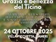 “Grazia e bellezza del Ticino”: convegno dedicato alle farfalle