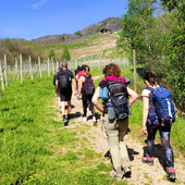 Foto di Paolo Campagnoli
