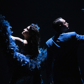 Cala il sipario sul Festival Teatro sull’Acqua: in scena la commedia musicale “...Fino alle stelle!” Cala il sipario sul Festival Teatro sull’Acqua: in scena la commedia musicale “...Fino alle stelle!”