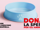 Solidarietà a quattro zampe: l'11 luglio torna la raccolta alimentare "Dona la Spesa" Solidarietà a quattro zampe: l'11 luglio torna la raccolta alimentare "Dona la Spesa"