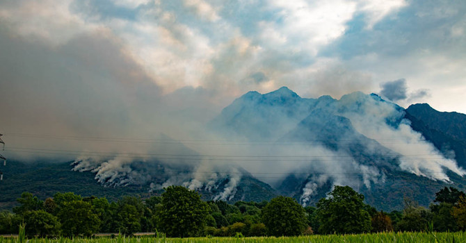 Incendi, l'appello dei forestali: "Serve una gestione attiva dei boschi"