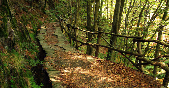 Giornate Fai d’Autunno, a Galliate un viaggio tra acqua, storia e natura nel Parco del Ticino