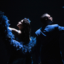 Cala il sipario sul Festival Teatro sull’Acqua: in scena la commedia musicale “...Fino alle stelle!”