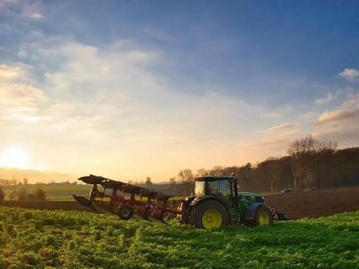 Controlli sull'origine dei prodotti, Coldiretti Piemonte: "Un passo contro il falso Made in Italy"