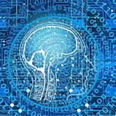 Imprese e intelligenza artificiale: un nuovo percorso formativo con la Camera di Commercio