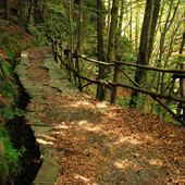 Giornate Fai d’Autunno, a Galliate un viaggio tra acqua, storia e natura nel Parco del Ticino