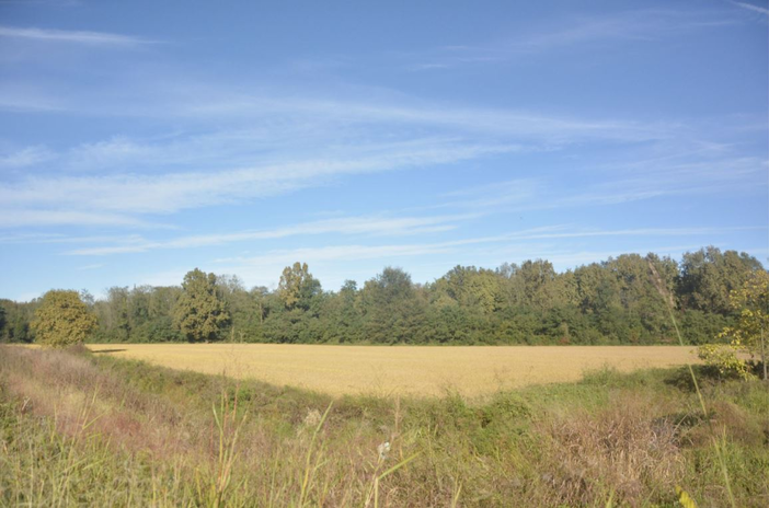 Aree Protette del Ticino e Lago Maggiore: nasce lo Sportello dell'Agricoltura Aree Protette del Ticino e Lago Maggiore: nasce lo Sportello dell'Agricoltura