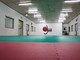 Novara, ripartono i corsi del Centro Judo Asd
