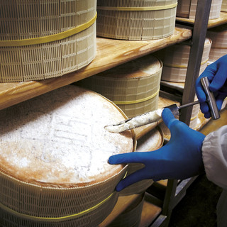 Novara, la città che da oltre 50 anni custodisce il vero Gorgonzola Dop