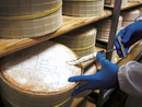 Novara, la città che da oltre 50 anni custodisce il vero Gorgonzola Dop Novara, la città che da oltre 50 anni custodisce il vero Gorgonzola Dop