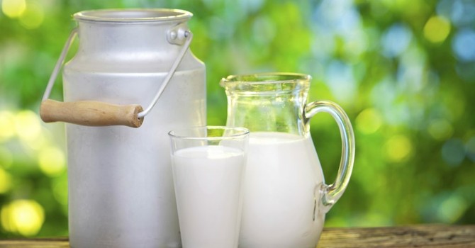 Latte, Coldiretti Piemonte: “Valorizzare le produzioni locali, stop alle importazioni estere”