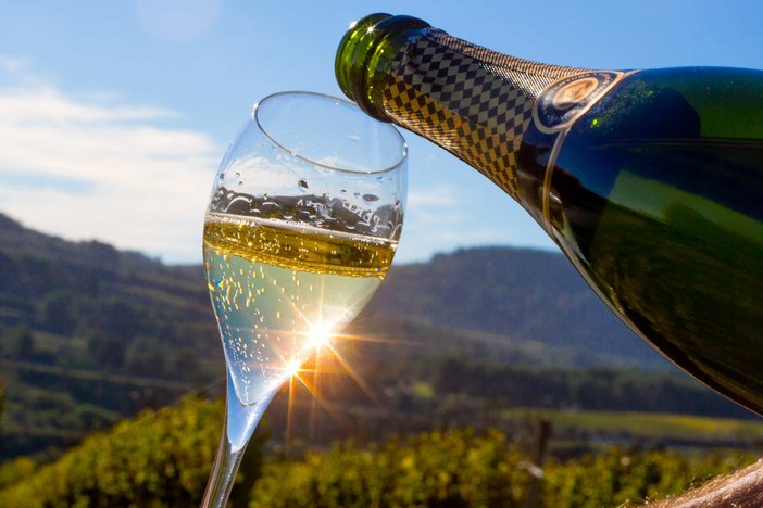 Coldiretti Piemonte: &quot;No allo spumante tarocco, serve una legge chiara sull’origine dei vini&quot;