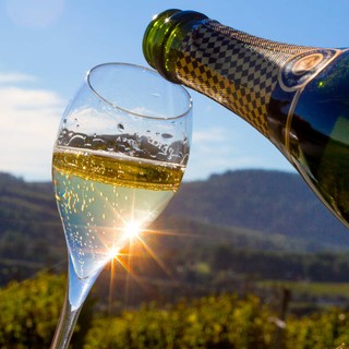 Coldiretti Piemonte: &quot;No allo spumante tarocco, serve una legge chiara sull’origine dei vini&quot;