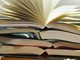 Quante storie, Pigi! Alla Stanza di Vincent letture per sognare insieme ad Arona