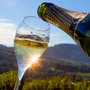 Coldiretti Piemonte: &quot;No allo spumante tarocco, serve una legge chiara sull’origine dei vini&quot;