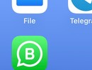 WhatsApp in tilt: problemi per la app di Meta