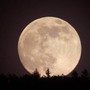 Il cielo di ottobre regala la “Luna del raccolto”