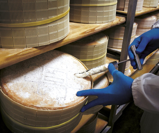 Novara, la città che da oltre 50 anni custodisce il vero Gorgonzola Dop