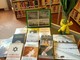 Giorno della Memoria: libri sulla Shoah disponibili in Biblioteca Giorno della Memoria: libri sulla Shoah disponibili in Biblioteca
