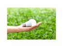 Ecolamp, nel 2024 cinque tonnellate di lampadine esauste raccolte nel novarese