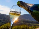 Coldiretti Piemonte: "No allo spumante tarocco, serve una legge chiara sull’origine dei vini" Coldiretti Piemonte: "No allo spumante tarocco, serve una legge chiara sull’origine dei vini"