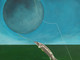 Luna Piena dello Storione vista dal pittore Franco Gotta Luna Piena dello Storione vista dal pittore Franco Gotta