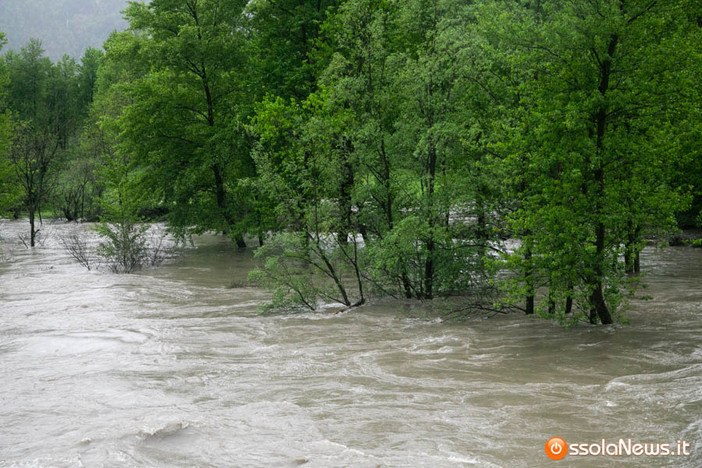 Pentenero e Avetta (PD): “Che cosa sta facendo la Giunta regionale per il dopo alluvione?”