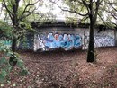 &quot;Muri liberi&quot; per i murales a Novara