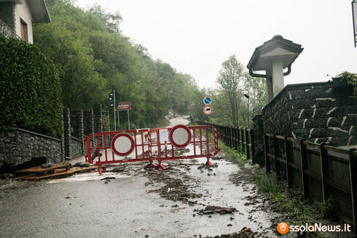 Boschi, fiumi e sentieri: il Piemonte vara il piano forestale da 312 operai per prevenire frane e alluvioni Boschi, fiumi e sentieri: il Piemonte vara il piano forestale da 312 operai per prevenire frane e alluvioni