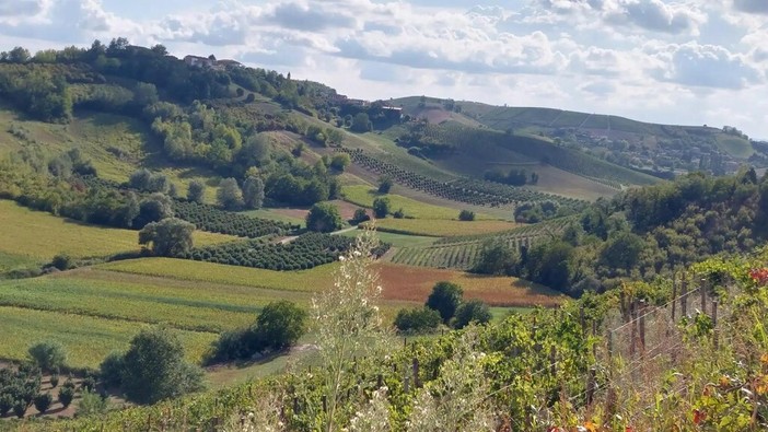 Mongardino entra nella famiglia dei Comuni Amis di Gite Fuori Porta in Piemonte: un nuovo angolo di Monferrato da scoprire