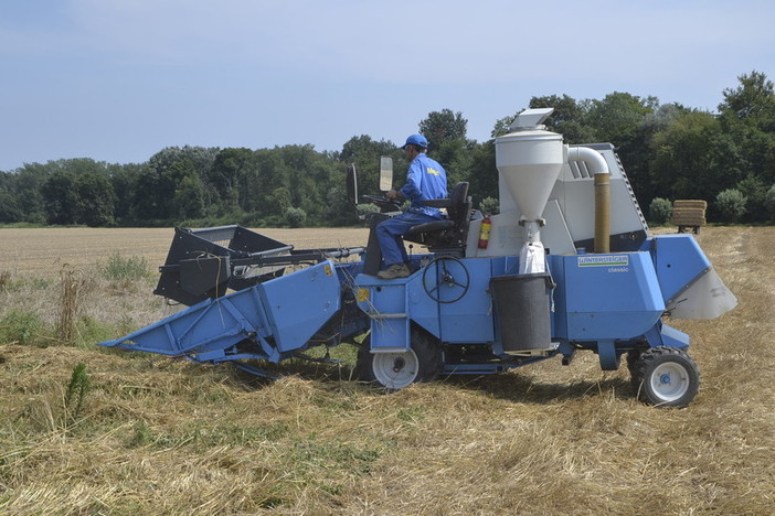 Gasolio agricolo, dal Governo 60 milioni di euro contro il caro carburante: soddisfazione di Coldiretti Gasolio agricolo, dal Governo 60 milioni di euro contro il caro carburante: soddisfazione di Coldiretti