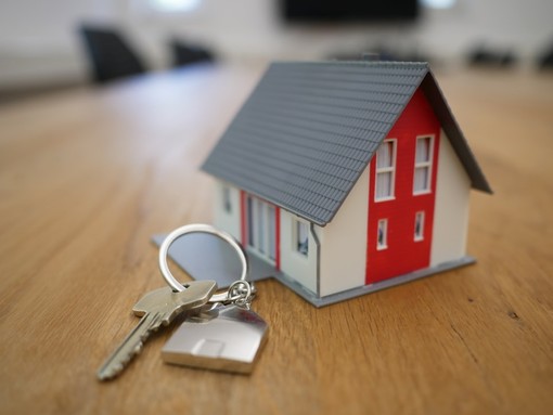 Piemonte, cresce la quota di acquirenti giovani: nel 2025 oltre il 31% ha tra 18 e 34 anni Piemonte, cresce la quota di acquirenti giovani: nel 2025 oltre il 31% ha tra 18 e 34 anni
