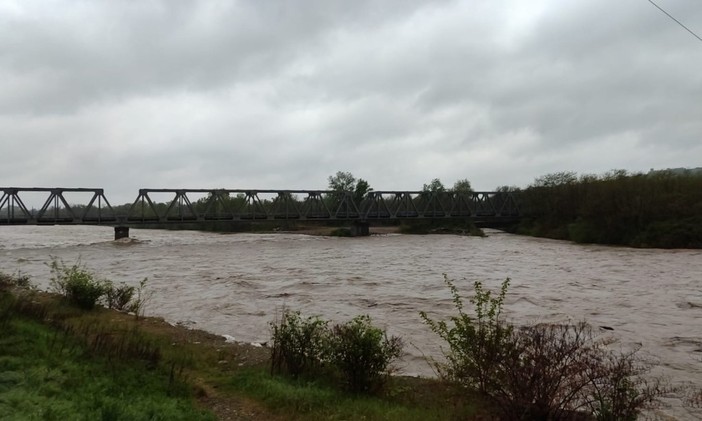 Torna la pioggia: ancora allerta gialla sul novarese