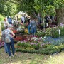&quot;Menta e Rosmarino&quot;: torna a Miasino il grande evento dedicato a piante e cultura green