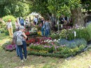 "Menta e Rosmarino": torna a Miasino il grande evento dedicato a piante e cultura green