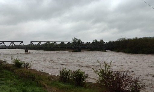 Torna la pioggia: ancora allerta gialla sul novarese