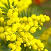 Perché l’8 marzo non è solo la “Festa della donna”