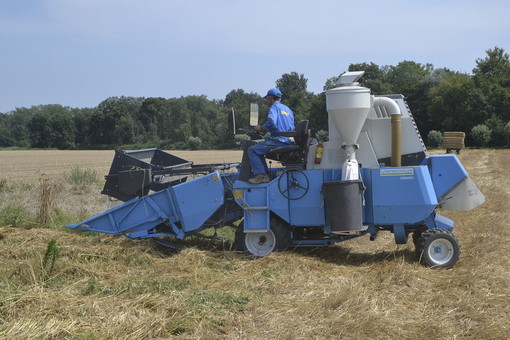 Gasolio agricolo, dal Governo 60 milioni di euro contro il caro carburante: soddisfazione di Coldiretti Gasolio agricolo, dal Governo 60 milioni di euro contro il caro carburante: soddisfazione di Coldiretti