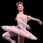 Novara Dance Experience: i grandi nomi della danza mondiale arrivano in città