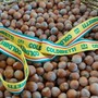 Nocciole, Coldiretti chiede un tavolo regionale: “Serve un fondo straordinario”