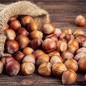 Nocciole piemontesi, Coldiretti chiede interventi urgenti alla Regione Nocciole piemontesi, Coldiretti chiede interventi urgenti alla Regione