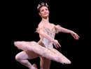 Novara Dance Experience: i grandi nomi della danza mondiale arrivano in città